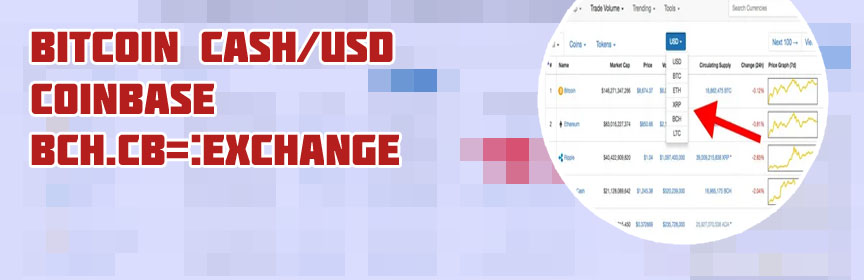 Bitcoin cash price usd