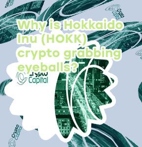 Hokk crypto