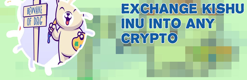 Kishu inu crypto