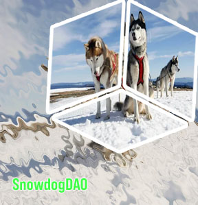 Snowdog crypto