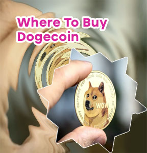 Where to buy dogecoin stock
