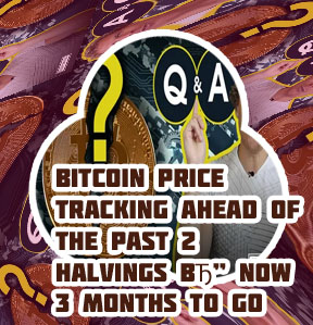 Will bitcoin last
